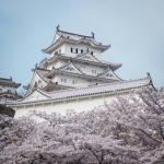 Discovering Timeless Beauty in Japan’s Temples