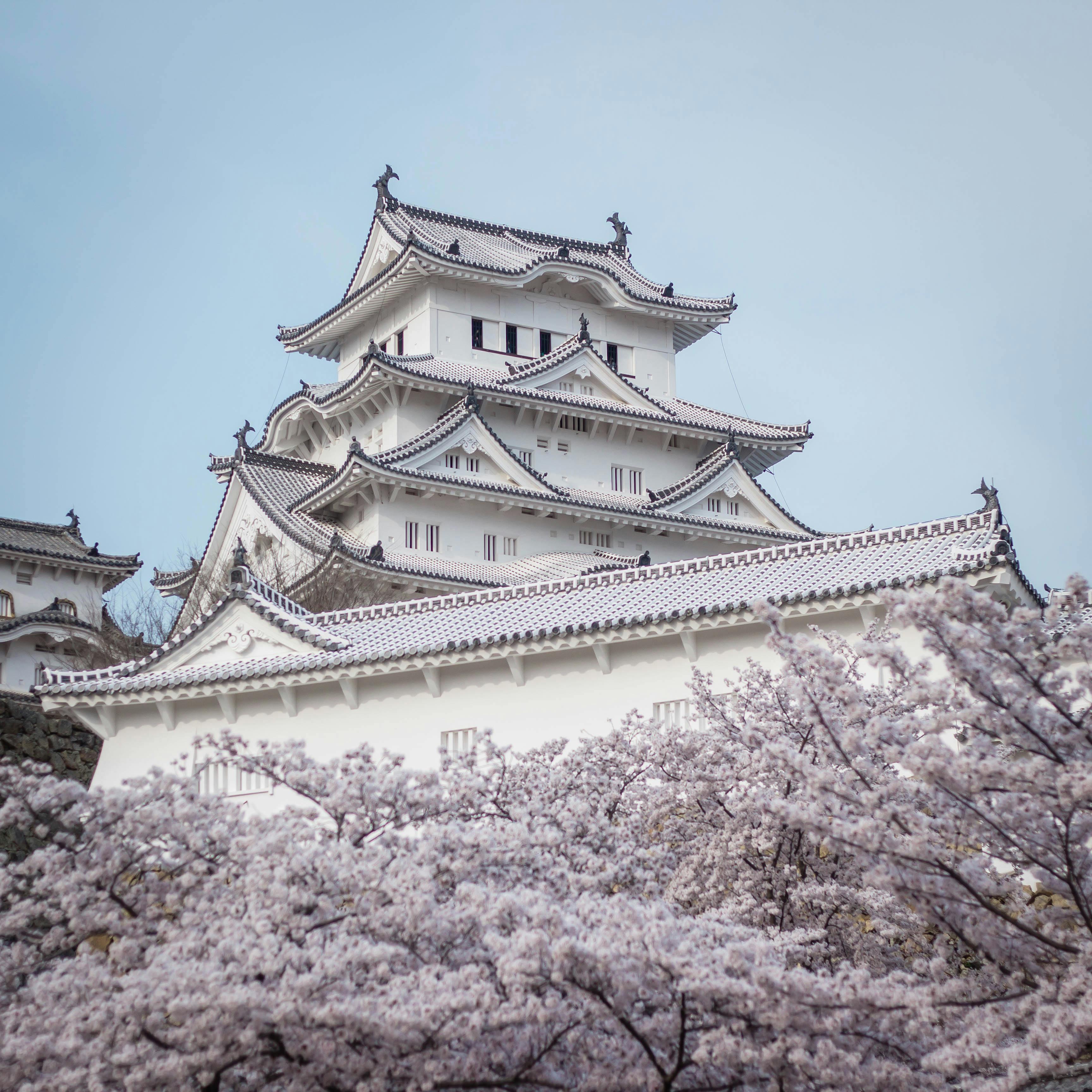 Discovering Timeless Beauty in Japan’s Temples
